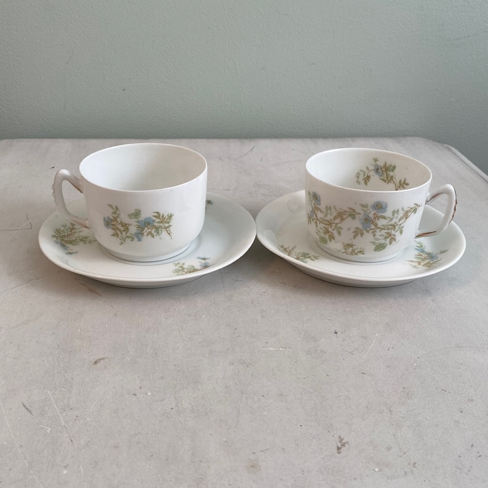 Antique Leonard Vienna Austria 2 cups&  saucers